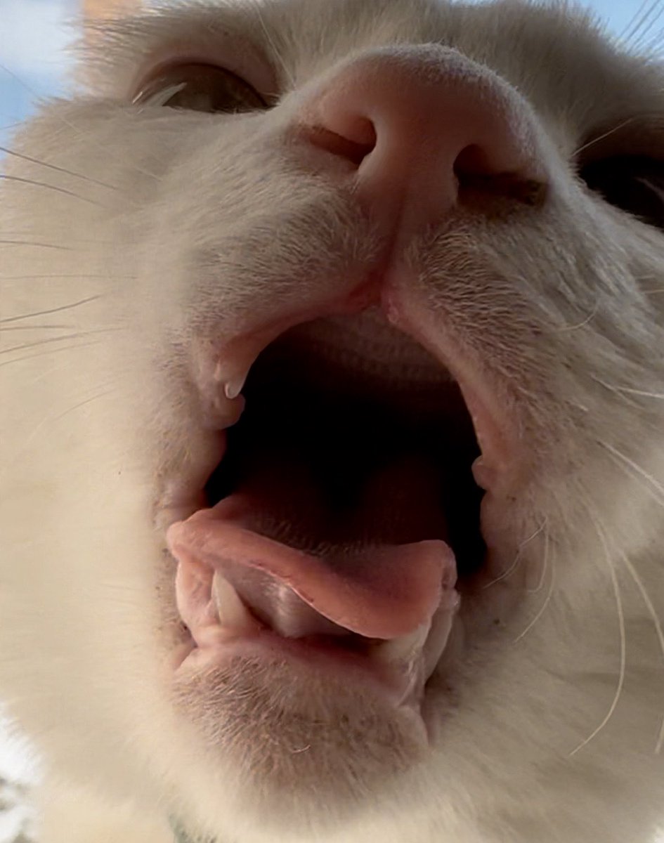 なかなかのホラー https://t.co/BFEhmorCbV