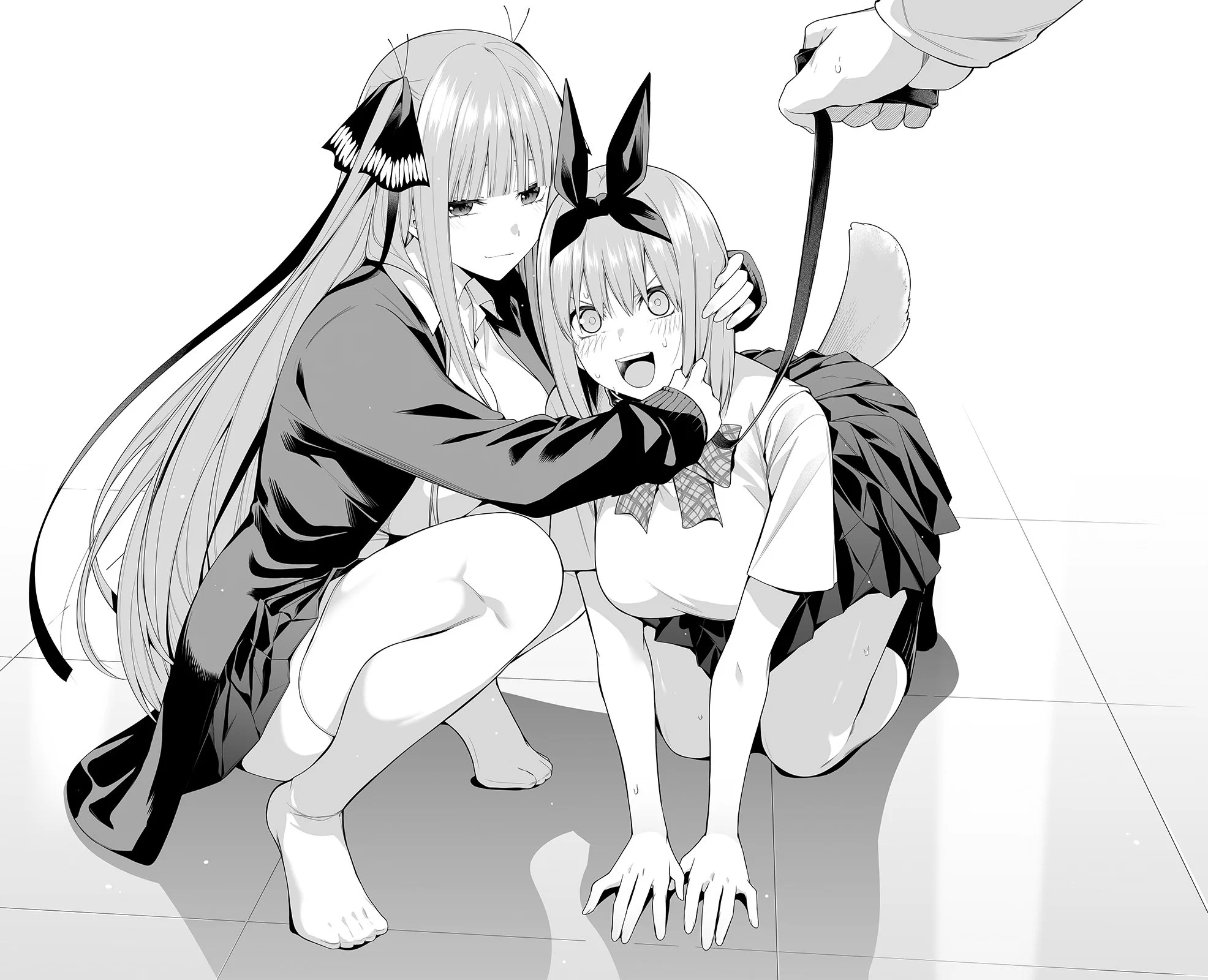 💜💚🦮 https://t.co/otvCuvOWzf