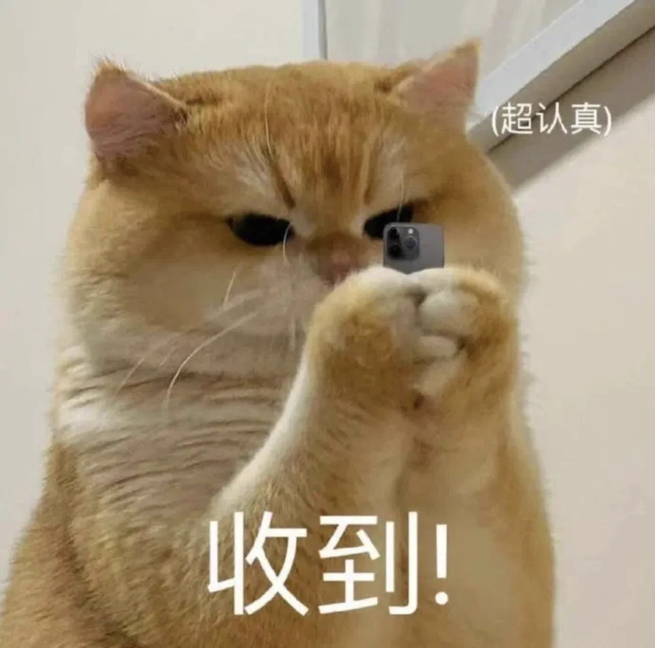 露点照片视频全删了 连擦边的都没一张
竟然还能收到🚪天呐 https://t.co/bBTL29R0Xr