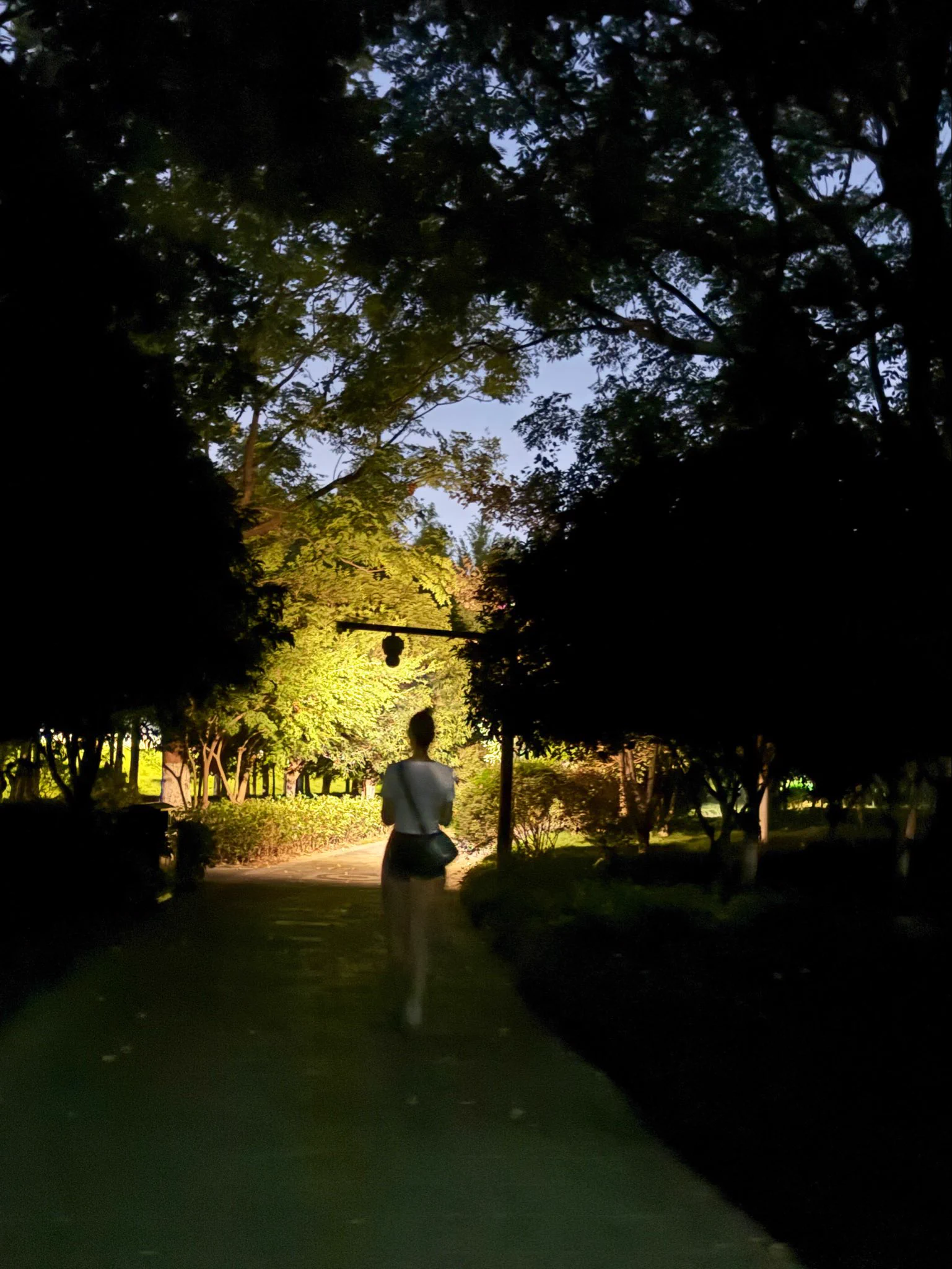 这天气外面逛着是真舒服，就是蚊子有点多 https://t.co/7PUNulV8X4