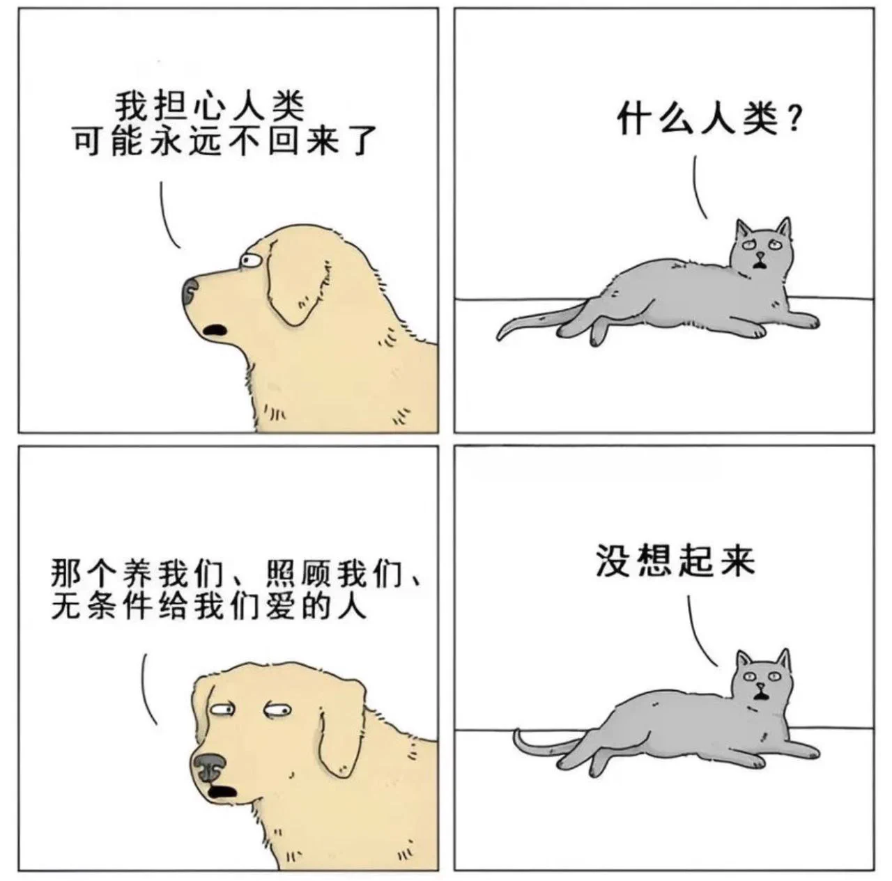 https://t.co/keaeTitOOb