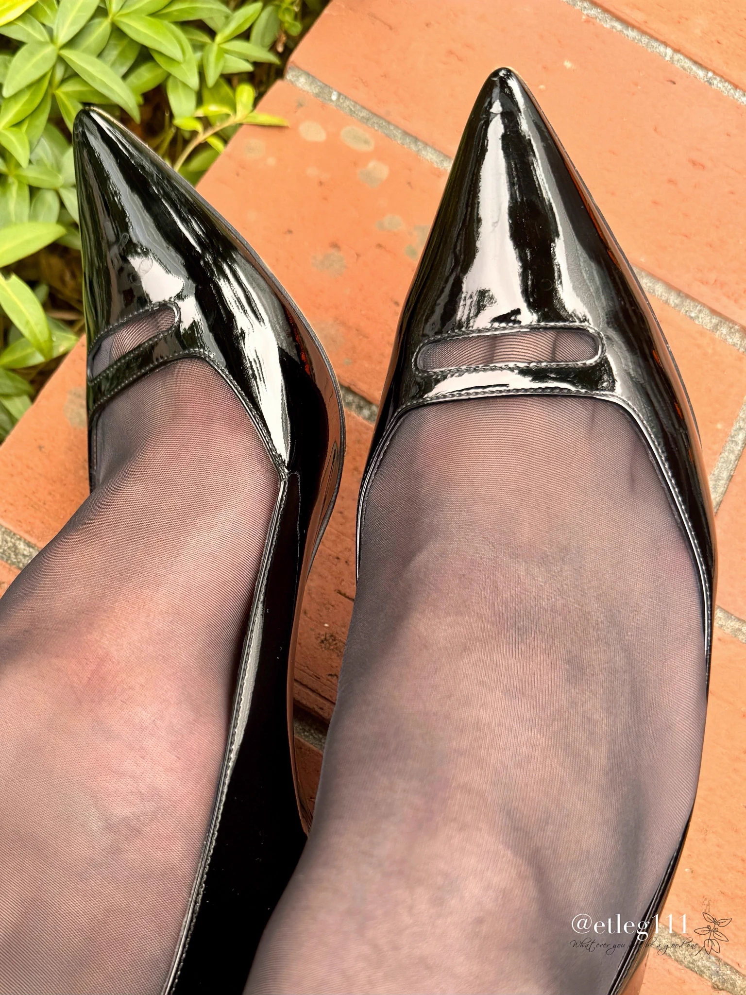 おはようございます✨
朝の散歩。
今日はペリーコのハイヒールにしました👠
つま先のところにストッキングの脚指が見えて、少しセクシーですね💕
で、スターバックス行ったら、満席でした😢
月末は仕事する人多し🌀 https://t.co/kAfnMdQ3VJ