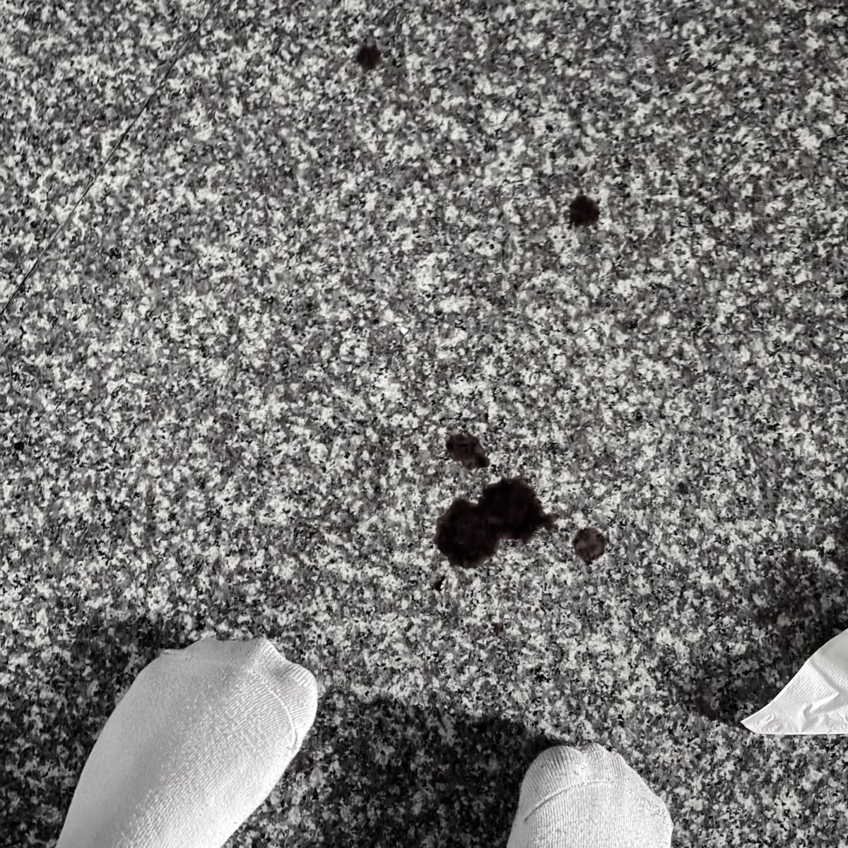 闖紅燈ㄉ結果： https://t.co/qbbLmWxUI8