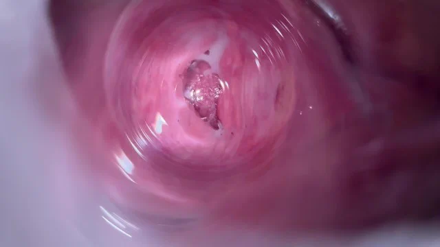 wataa 

@sktwogirl
@sktworel
@sktwolris
@sktwober https://t.co/CjnVQkSDKr