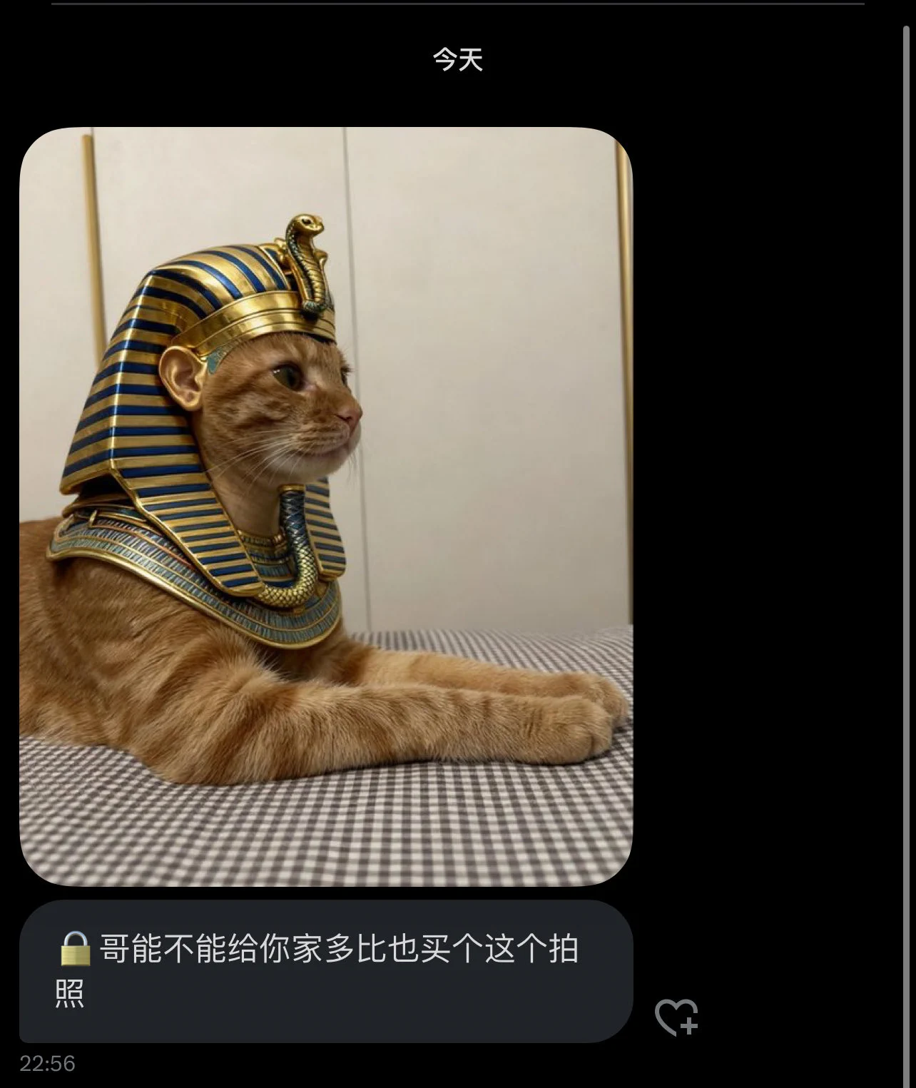 想看吗 https://t.co/NHEtJjE1Fk