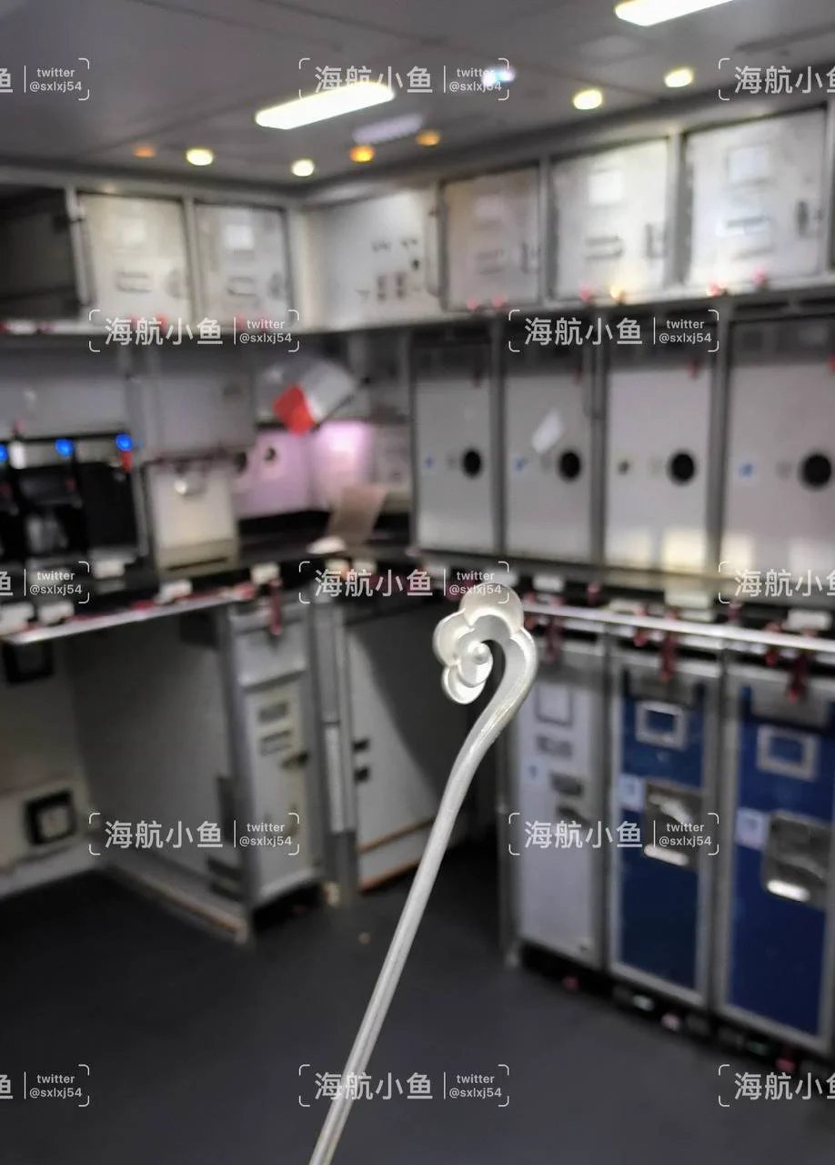 如意如意，按我心意，快快显灵~ https://t.co/1qop67m3CQ