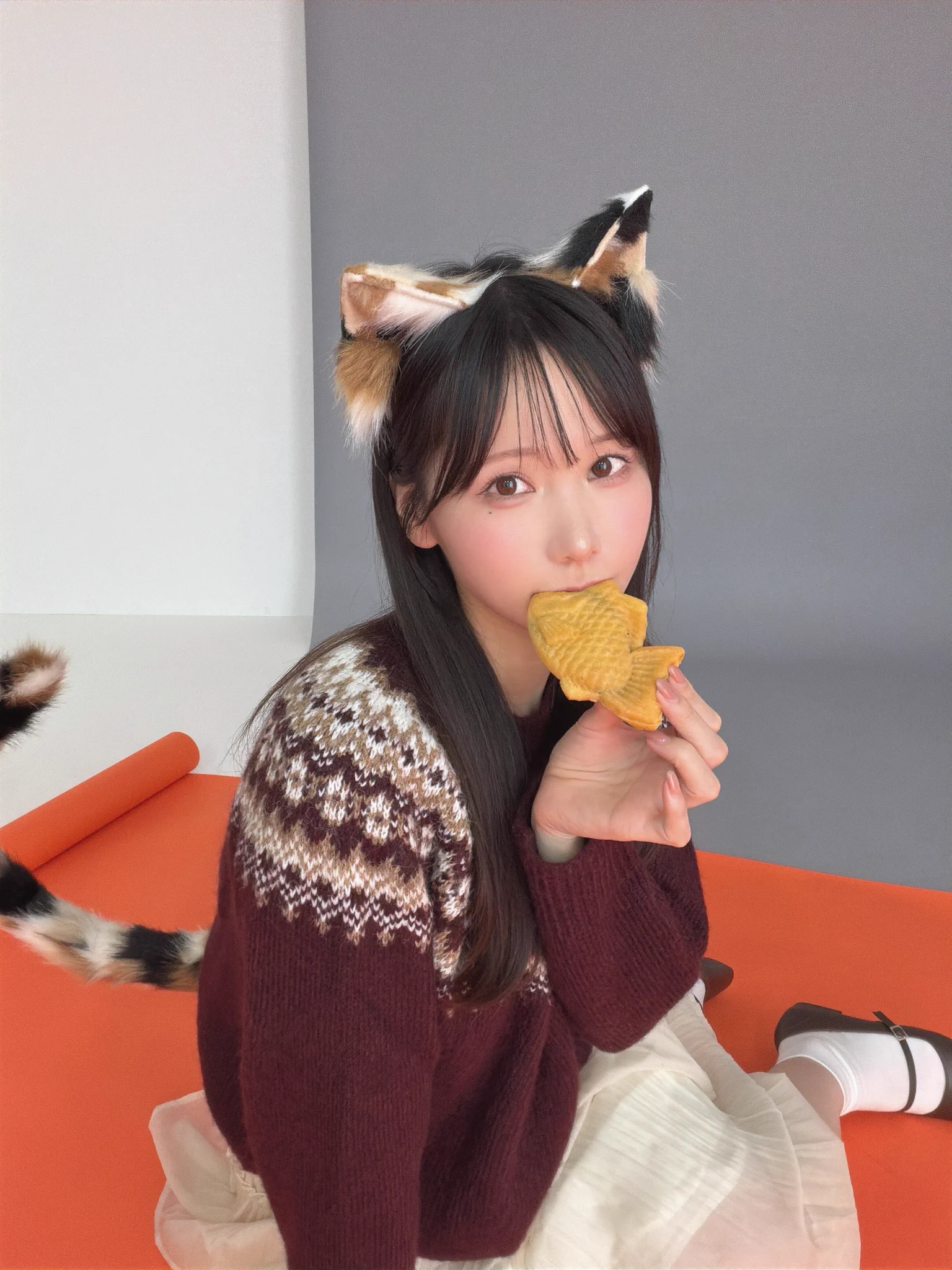 三毛猫はツンデレってほんと？ https://t.co/Gg5PK6K9pr