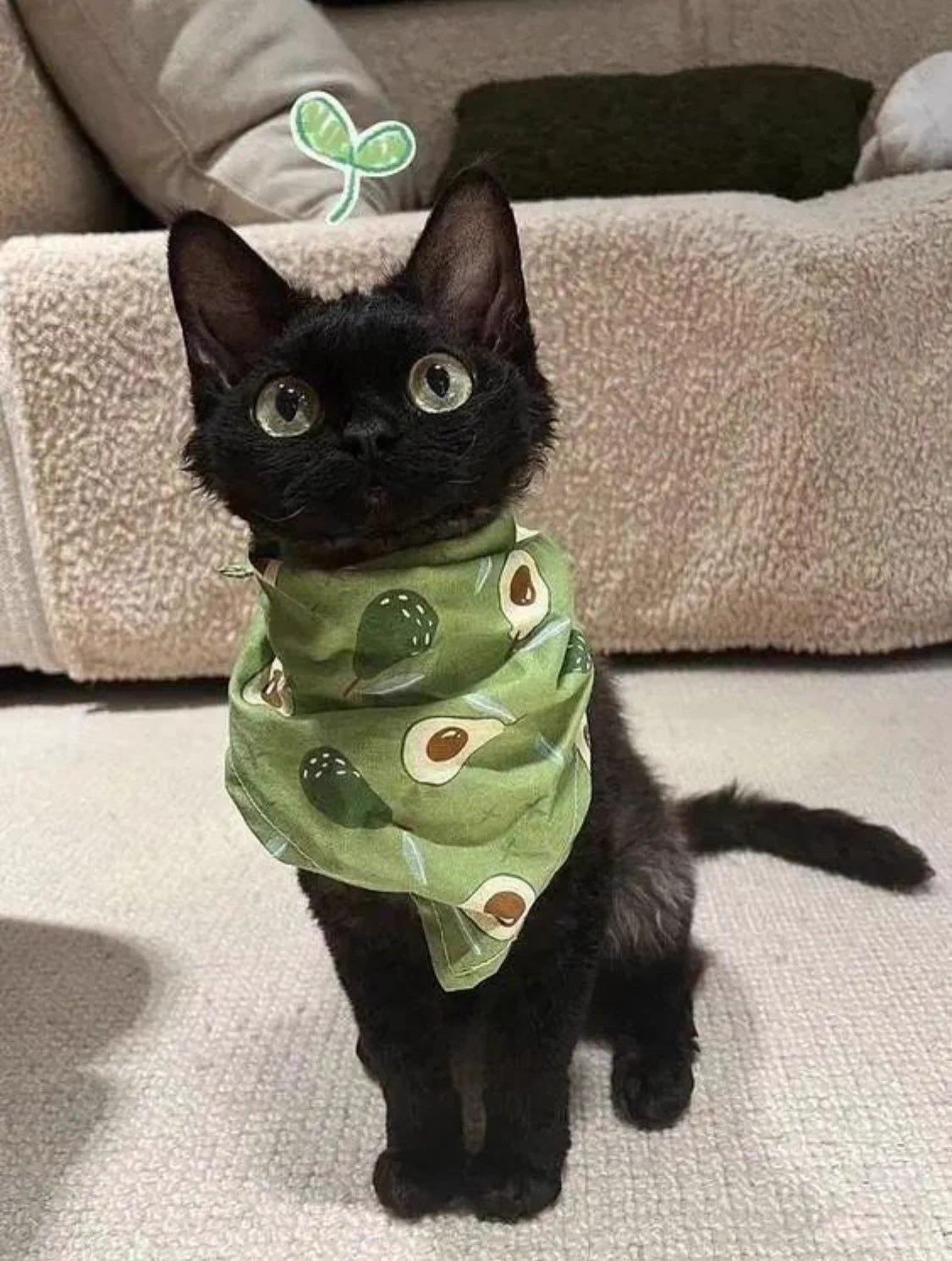 she looks like a character out of a studio ghibli film 🥺 https://t.co/lG01FMECEm