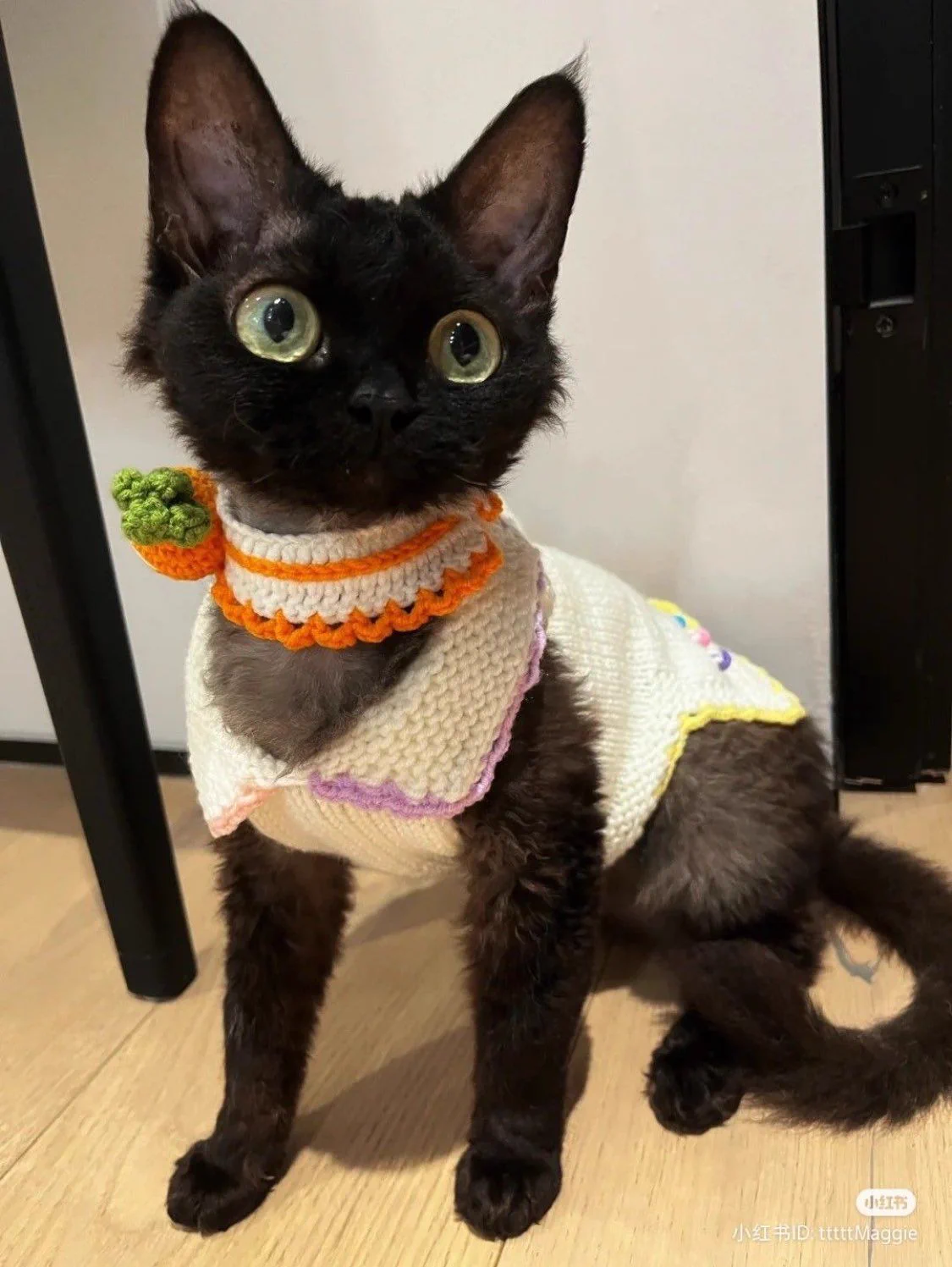 she looks like a character out of a studio ghibli film 🥺 https://t.co/lG01FMECEm