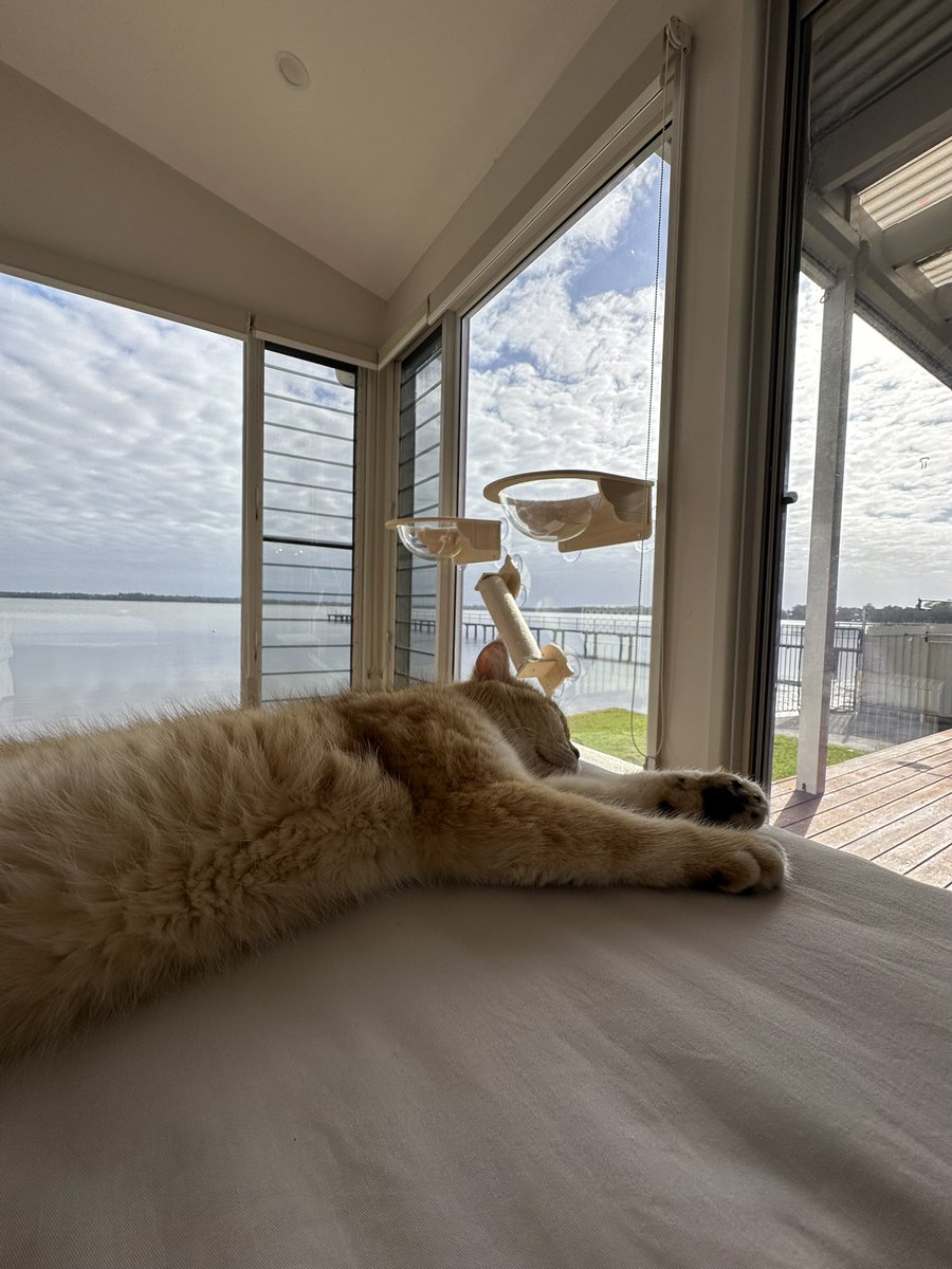 陪二宝赖床 https://t.co/Mq8jPzz5Vl