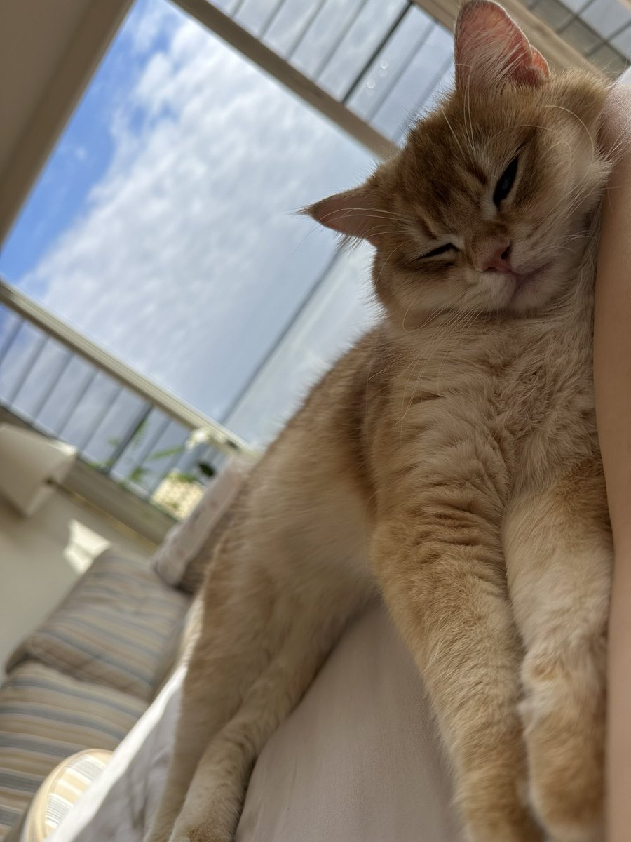 陪二宝赖床 https://t.co/Mq8jPzz5Vl