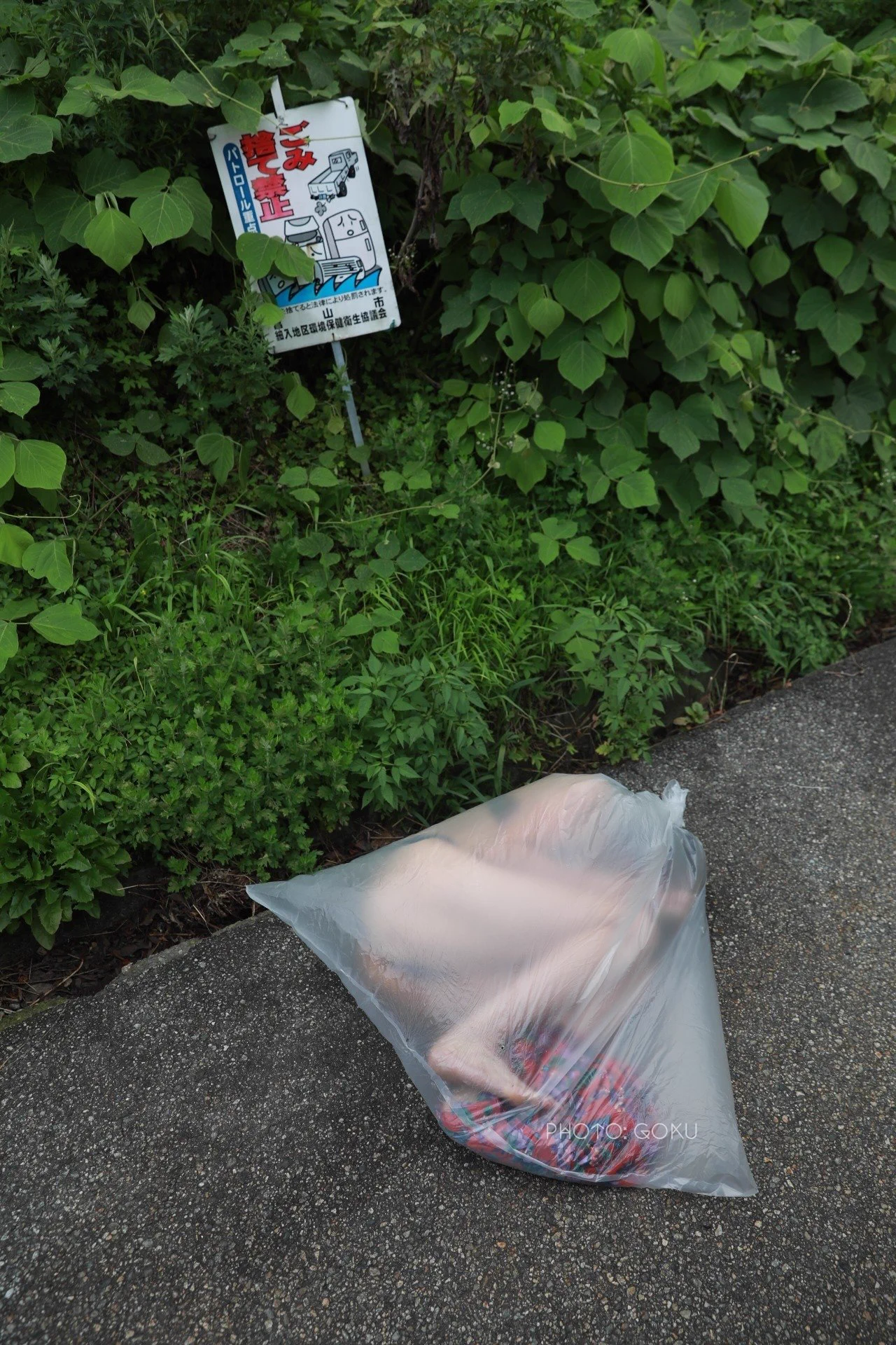 原料、废品、凳子 https://t.co/qkdupYrbw1