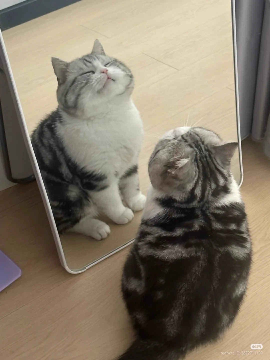 So proud of himself https://t.co/V07YF78ohC