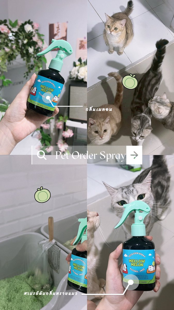 สเปรย์ดับกลิ่นทรายแมว หอมเมล่อนตะโกนน

🍈คนเลี้ยงแมวต้องมีคนเคยใช้ตัวนี้บ้างแล้วแหละ
สำหรับพีชลองใช้มาแล้วหอมจริงๆนะ ไม่ปวดหัวเวียนหัวด้วย คือดีย์

พิกัด📍 https://t.co/F8fSDSpZnw https://t.co/aGWDgmv6Eh