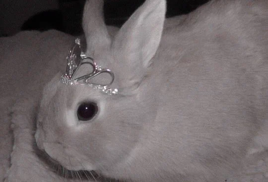 this is me if u even care https://t.co/WYt41vPIL5