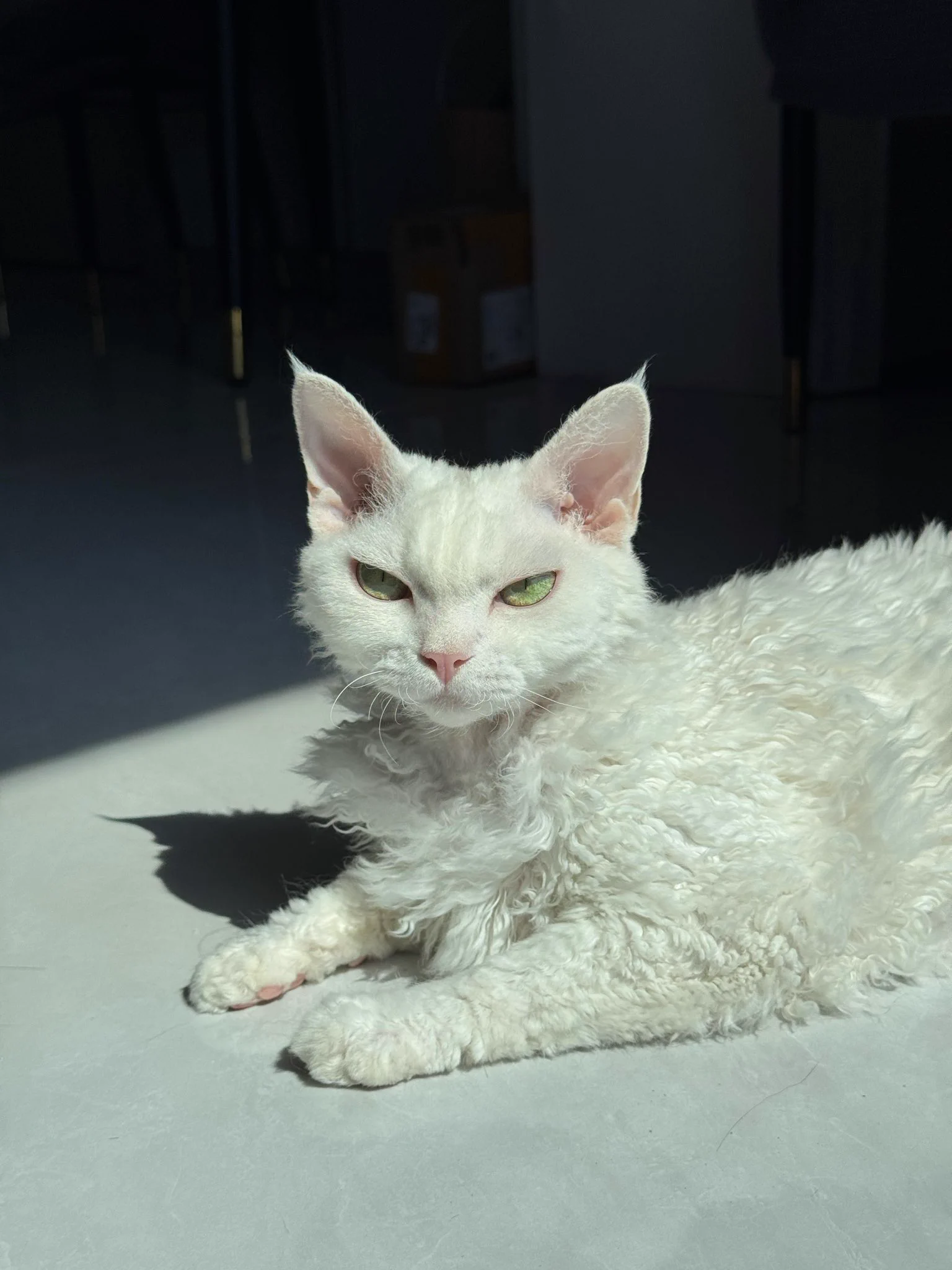 🌞 https://t.co/gy3SmtURba