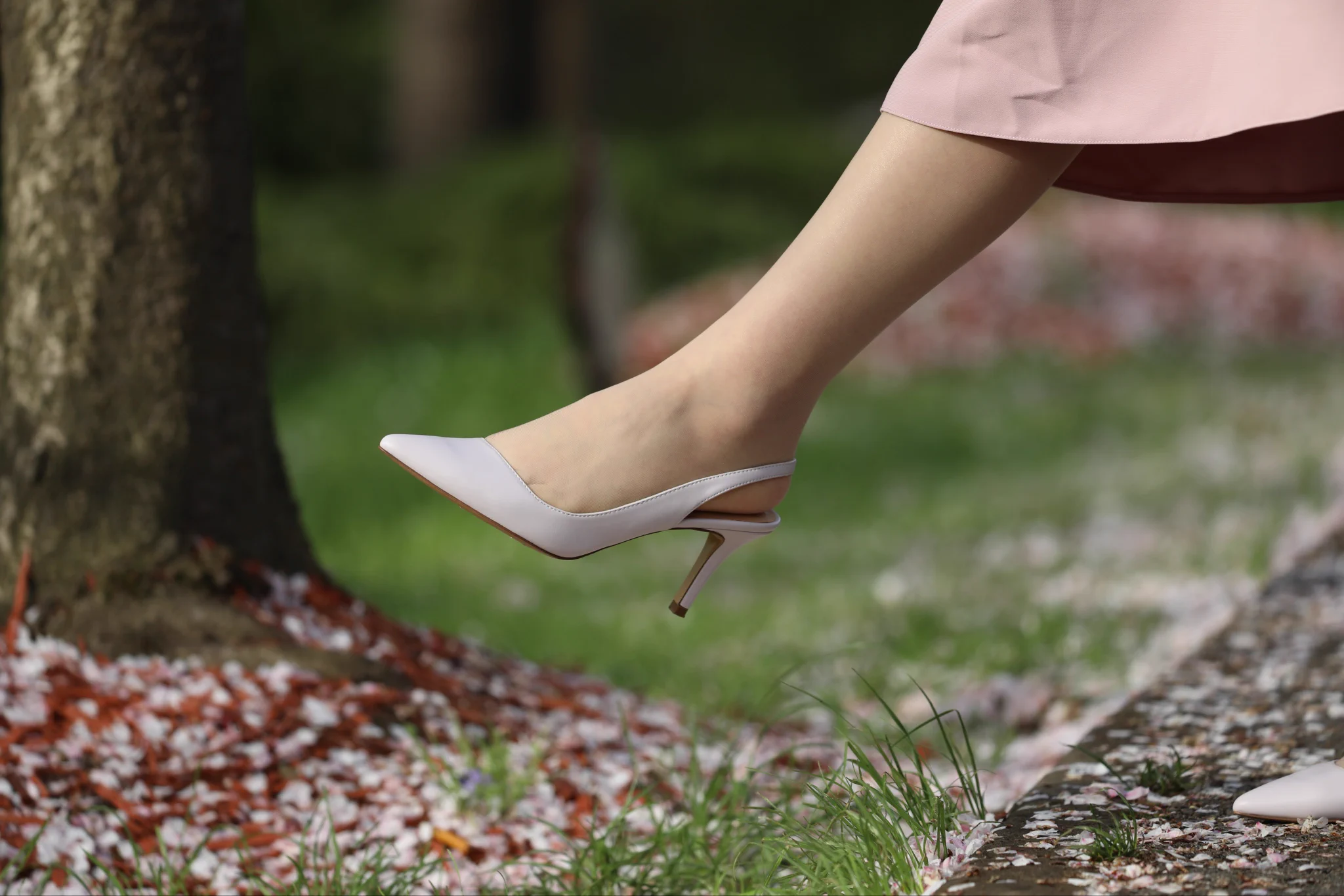 翻老照片翻到了，分享一组年初的樱花吧。 https://t.co/Ig2oFQ4IBo