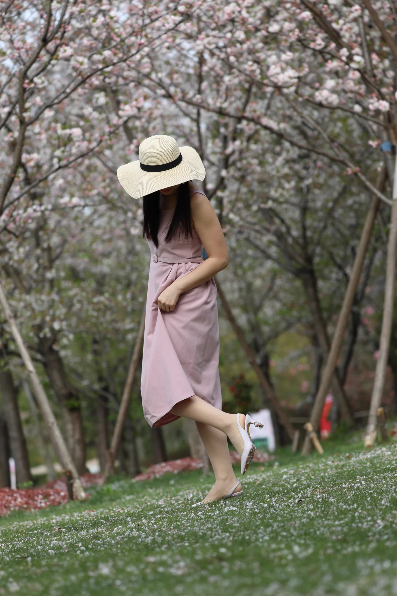 翻老照片翻到了，分享一组年初的樱花吧。 https://t.co/Ig2oFQ4IBo