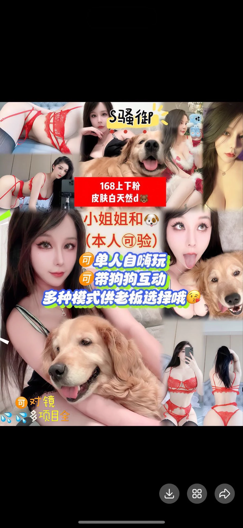 视频漂亮妹妹在线哦！欢迎哥哥下单咨询  ᖰ⌯'▾'⌯ᖳ🉑选自己喜欢妹妹哦！ https://t.co/bRDep9JL9o