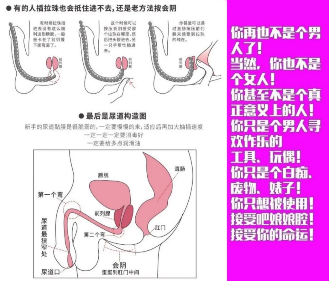 想做点小男娘💜该做的事情吗?
有过雌堕的幻想吗?
只要有一点点希望,你都不会放过吧?
来吧,展现你的欲望~
留下你独特的痕迹~
在性欲的层面,
你,和其他人,没有区别。
一所专门改造男娘的学院,
请来这里参加每天的课程,
穿上女装
或者变成“雌性”
你,要不要和我们一起堕落呢?
#男娘 #sissy https://t.co/aHiqR1F7rp