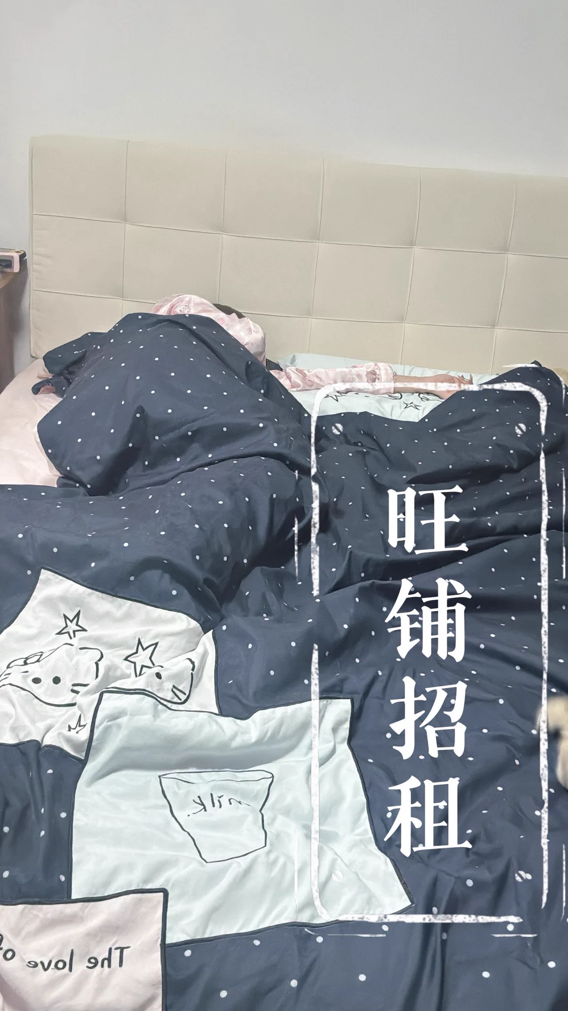 晚安安呀💤 https://t.co/A5aC7dwDjy