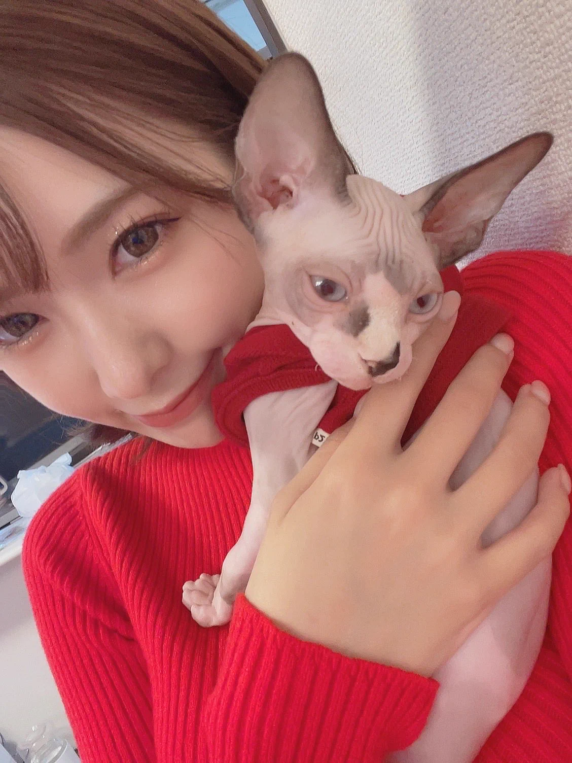 今日も1日お疲れ様✨
友達と焼肉に行ってきました🥹
お肉美味しかったぁぁぁ!!!
お家に帰るとテンテンが、
扉の前で座っててん😭❤️
か、かわいい。。。
家に帰ると待っててくれる子がいるの、
しあわせだぁぁぁ!!!!
おやすみなさい🛌スヤァ… https://t.co/O0CsJH0lo7