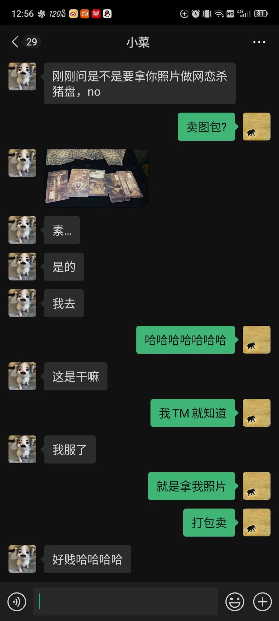 本人希瑞
Instagram账号 crazysheren 已被盗,请勿相信陌生留言,目前账号状态为空白、无法搜索
后续我将考虑重新注册或者申诉
重申 我不卖图包,如果有卖我和其他创作者作品的请勿相信 https://t.co/A9C77cMOiZ