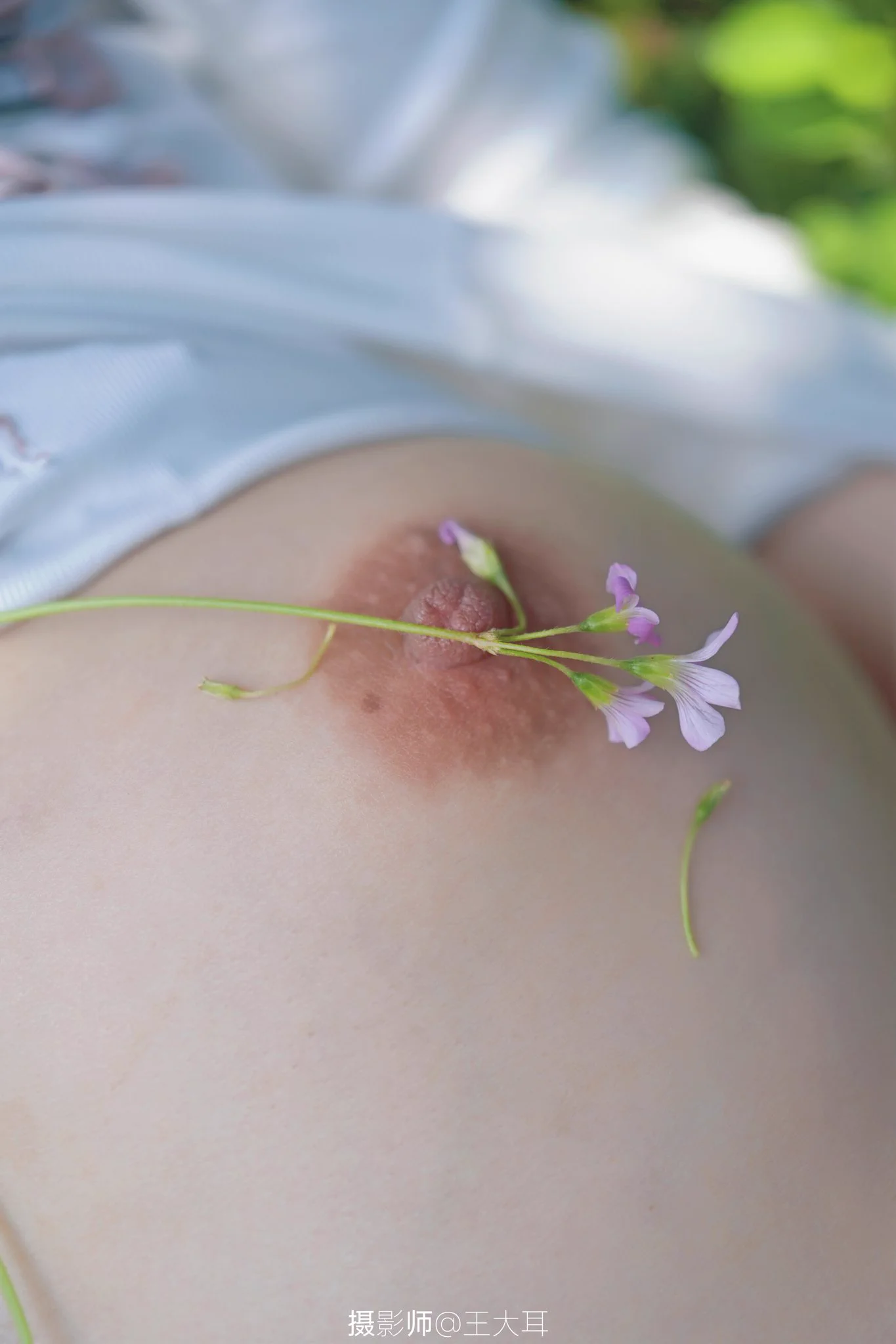 Wataa🌸

@SexytoBaby
@SexytoDoll
@SexytoGirl
@BBBBTTTCC https://t.co/7lRqVZWph4