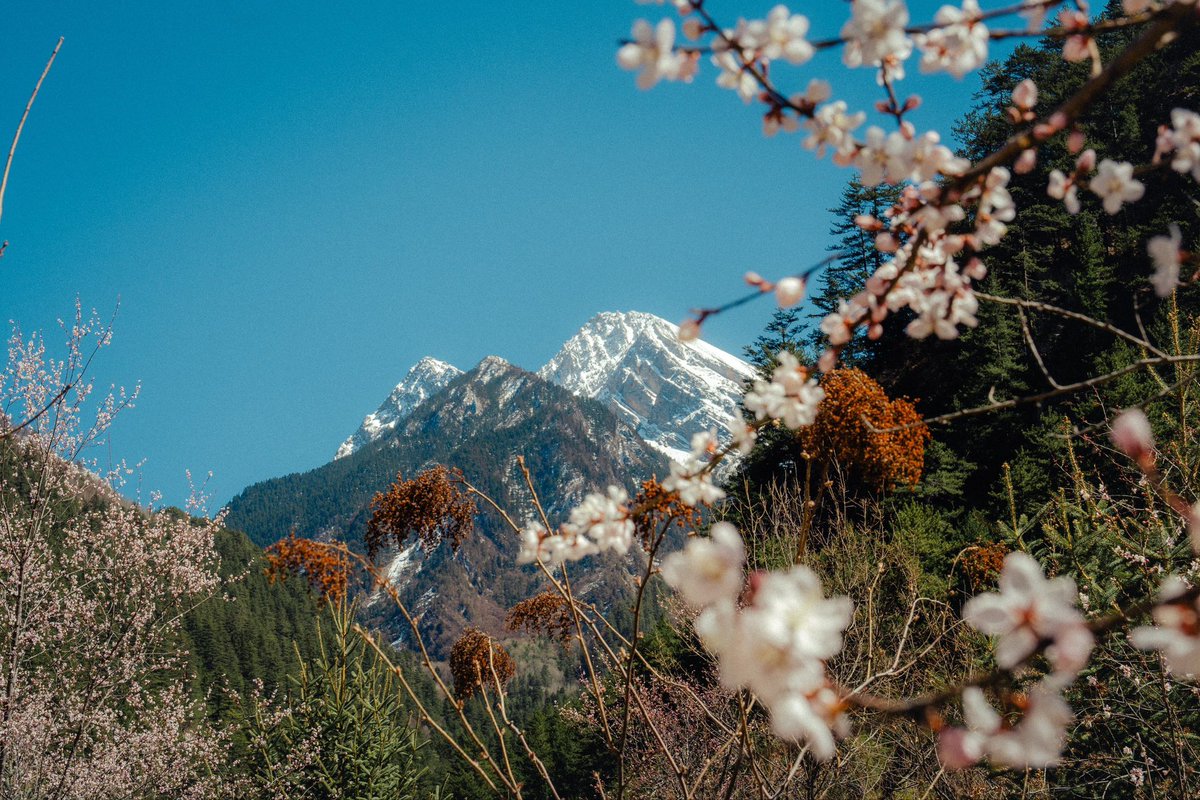 想去看雪山⛰️ https://t.co/4KMhuBBjPq