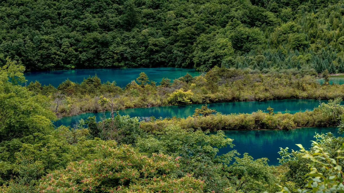 今天沒有文案📝 因為我是一隻懶鬼👻 https://t.co/kmp5BAvrdC