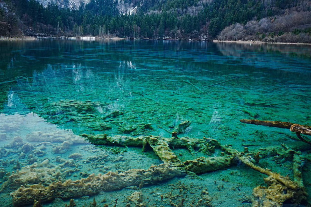 芜湖，今天智齿拆线！明天回家！
复活吧锤酱✧*｡٩(ˊᗜˋ*)و✧*｡
11月我要努力赚钱！ https://t.co/9TUulAjujG
