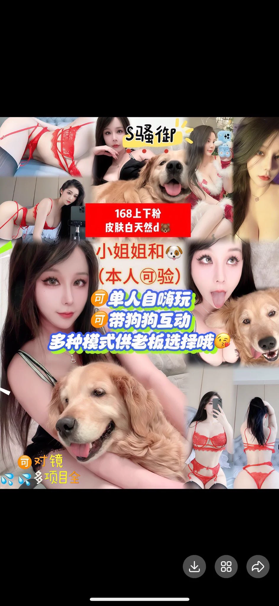 视频漂亮妹妹在线哦！欢迎哥哥下单咨询  ᖰ⌯'▾'⌯ᖳ🉑选自己喜欢妹妹哦！ https://t.co/sQcCr42NSS