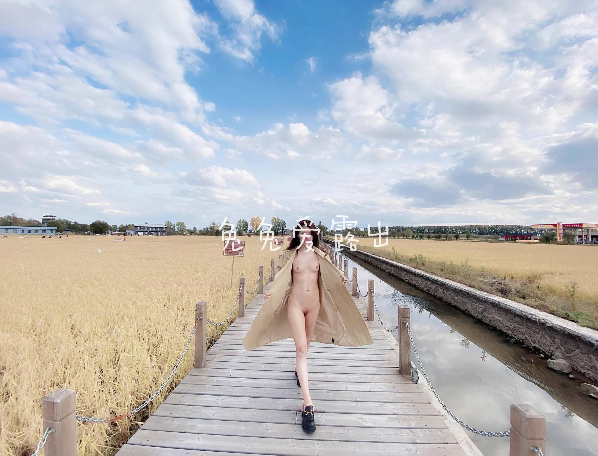 水车和稻田地中间露出，可惜旁边就是秋收的农民伯伯，要不就全裸露出了呢 https://t.co/KhqhY81mwL