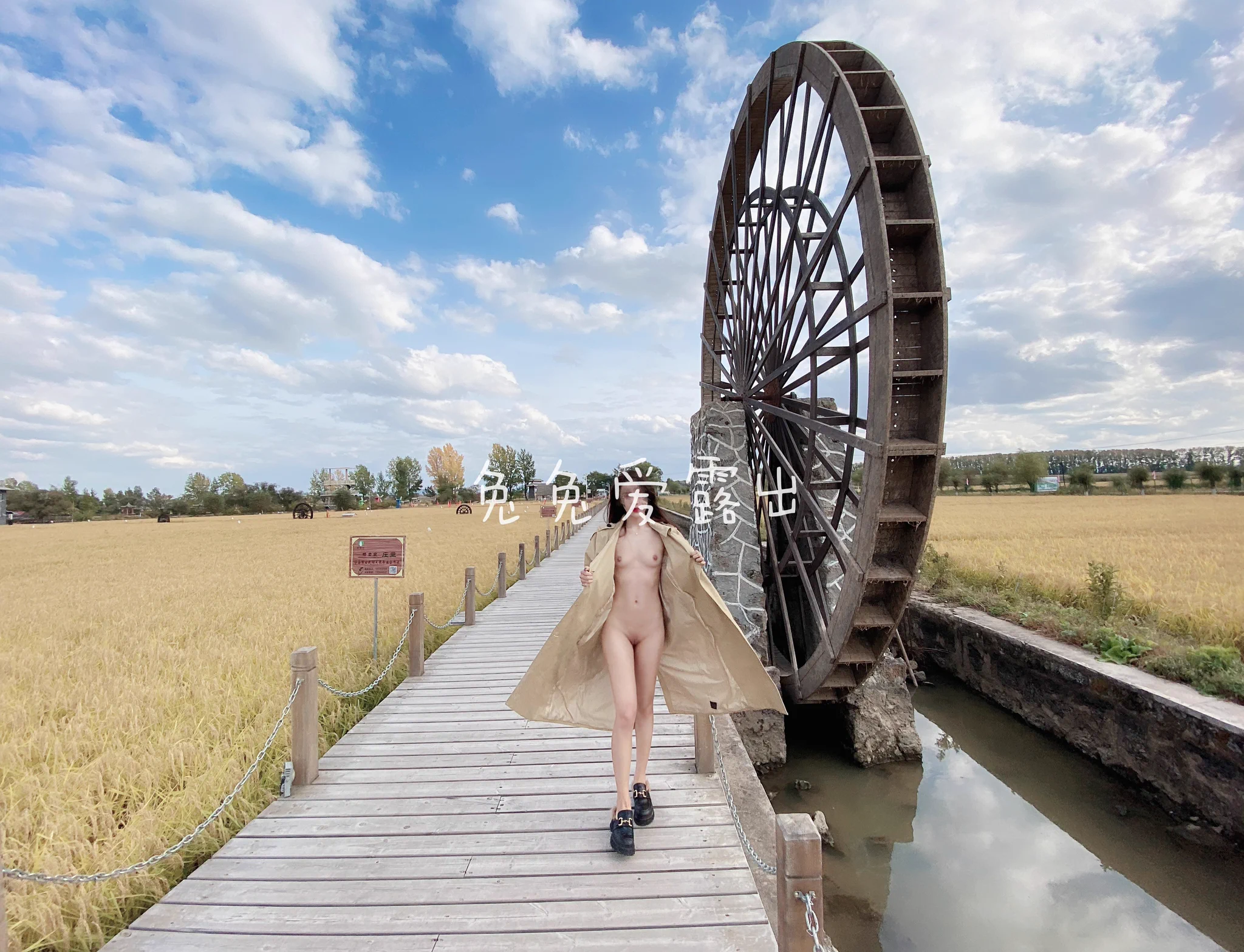 水车和稻田地中间露出，可惜旁边就是秋收的农民伯伯，要不就全裸露出了呢 https://t.co/KhqhY81mwL