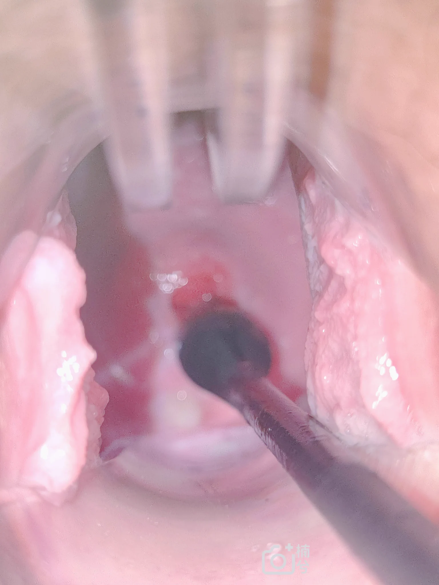 新鲜出炉...有小哥哥需要来一勺子尝尝不 https://t.co/vtATWl1MCX