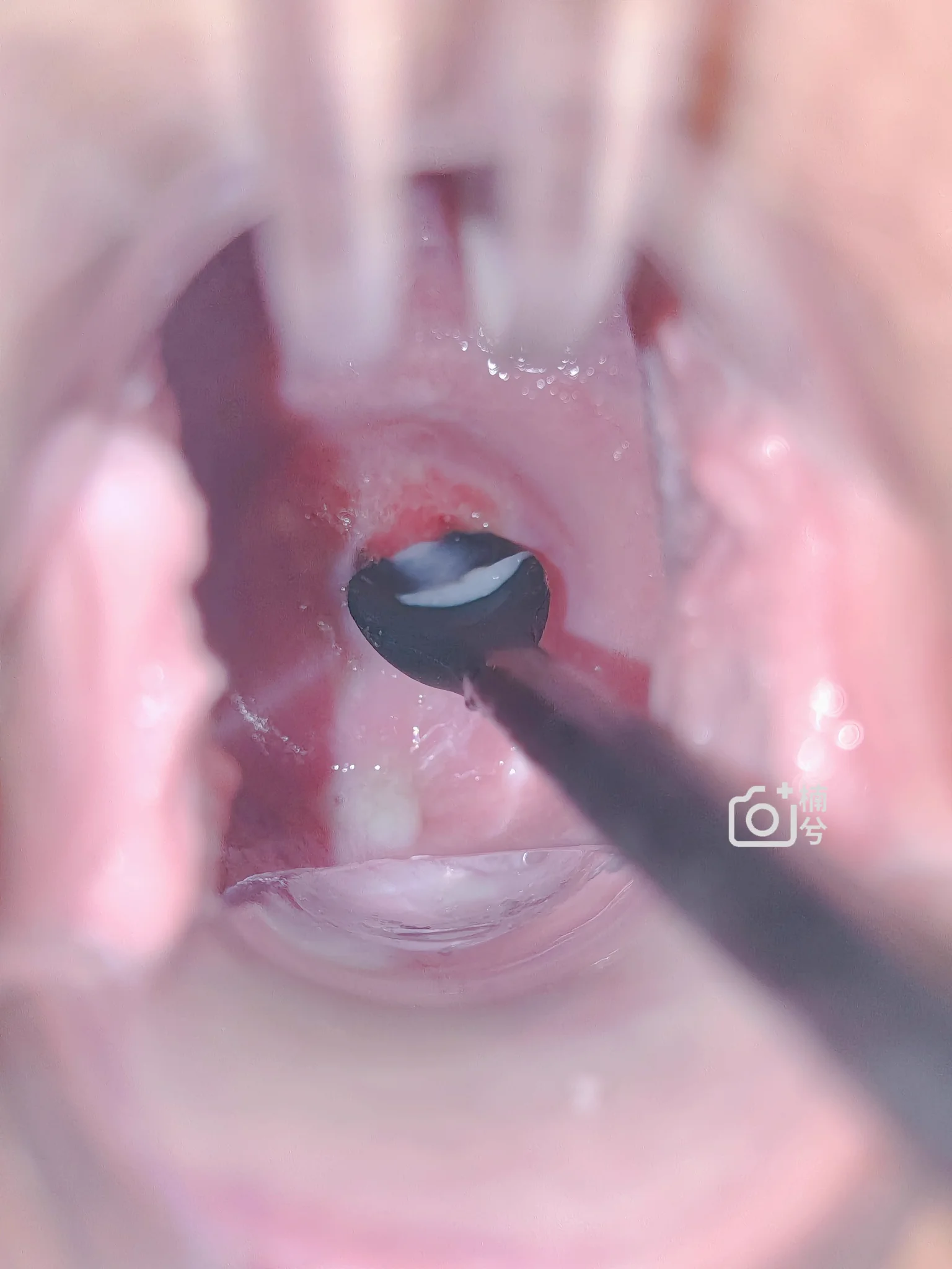 新鲜出炉...有小哥哥需要来一勺子尝尝不 https://t.co/vtATWl1MCX