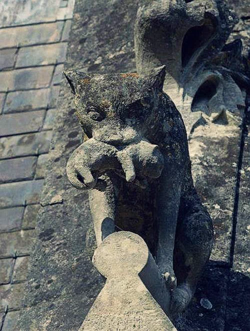 630-year-old cat with a kitten, a gargoyle-chimera on the roof of the Château de Pierrefonds, France c.1393–1407. https://t.co/GtYS5JvOSb