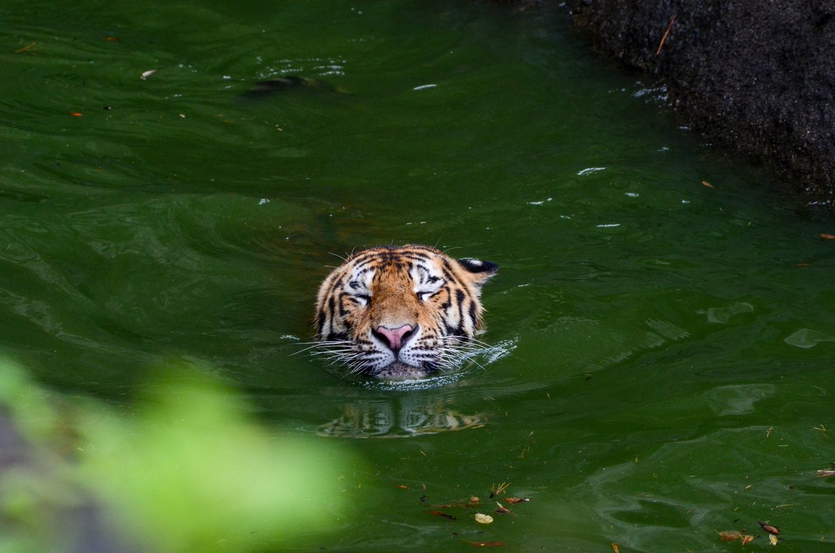 ありえん可愛くて草 https://t.co/jdzTYdCMcb