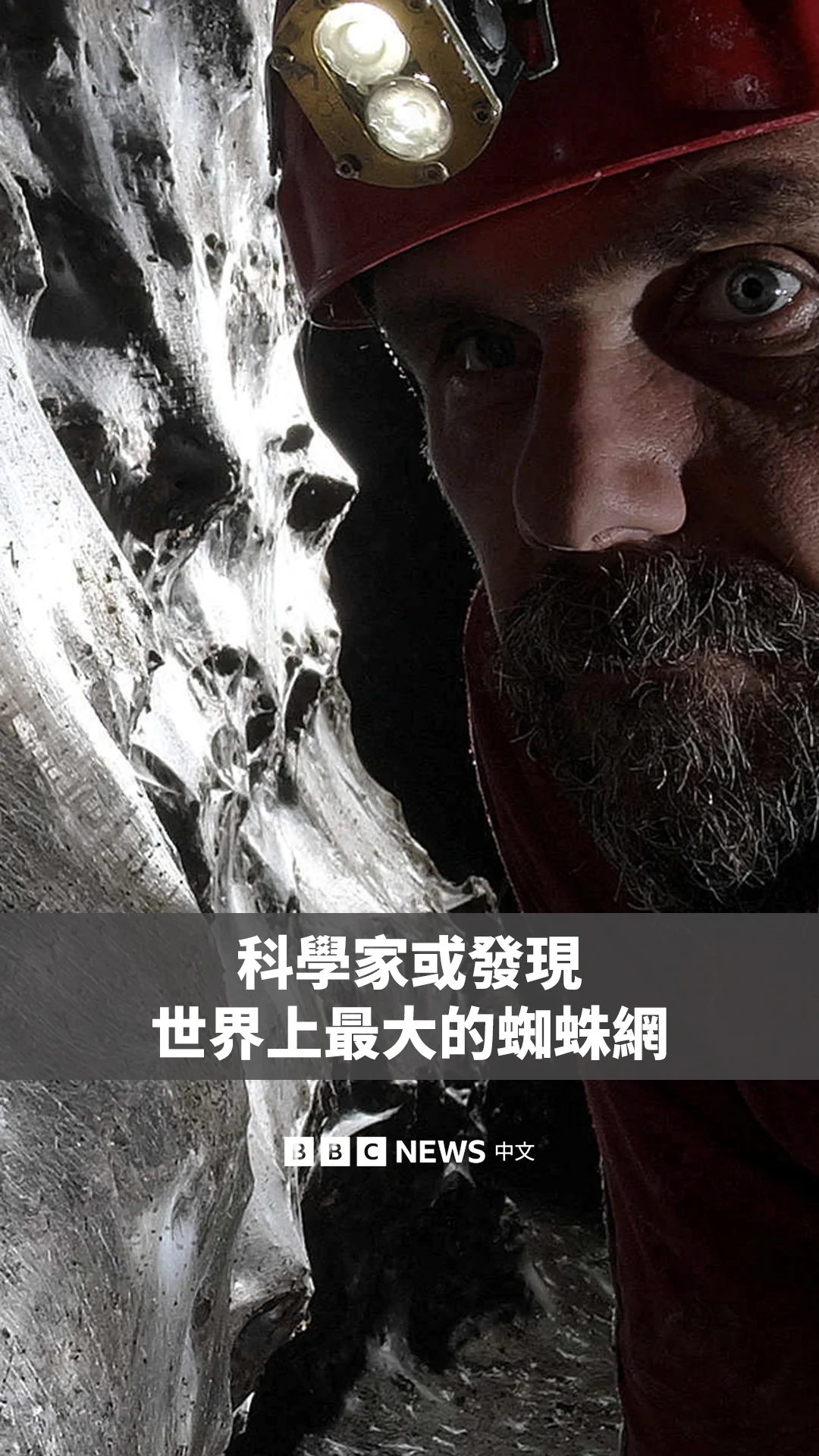 2022年，研究者曾在位于阿尔巴尼亚和希腊边境的硫磺洞（Sulfur Cave）中发现了一个巨大的蜘蛛“超级城市”。经过多年的研究，科学家估计，这张面积超过100平方米的蜘蛛网中居住着大约11万只蜘蛛。

这张蛛网包含两个基因不同的物种，与生活在地表的同类并无亲缘关系。值得注意的是，这是首次观察到这些通常独居的蜘蛛形成群体。

研究人员认为，该洞穴吸引大量蜘蛛的原因，可能是洞内栖息着数量众多的蠓虫，为蜘蛛提供了充足的食物来源。