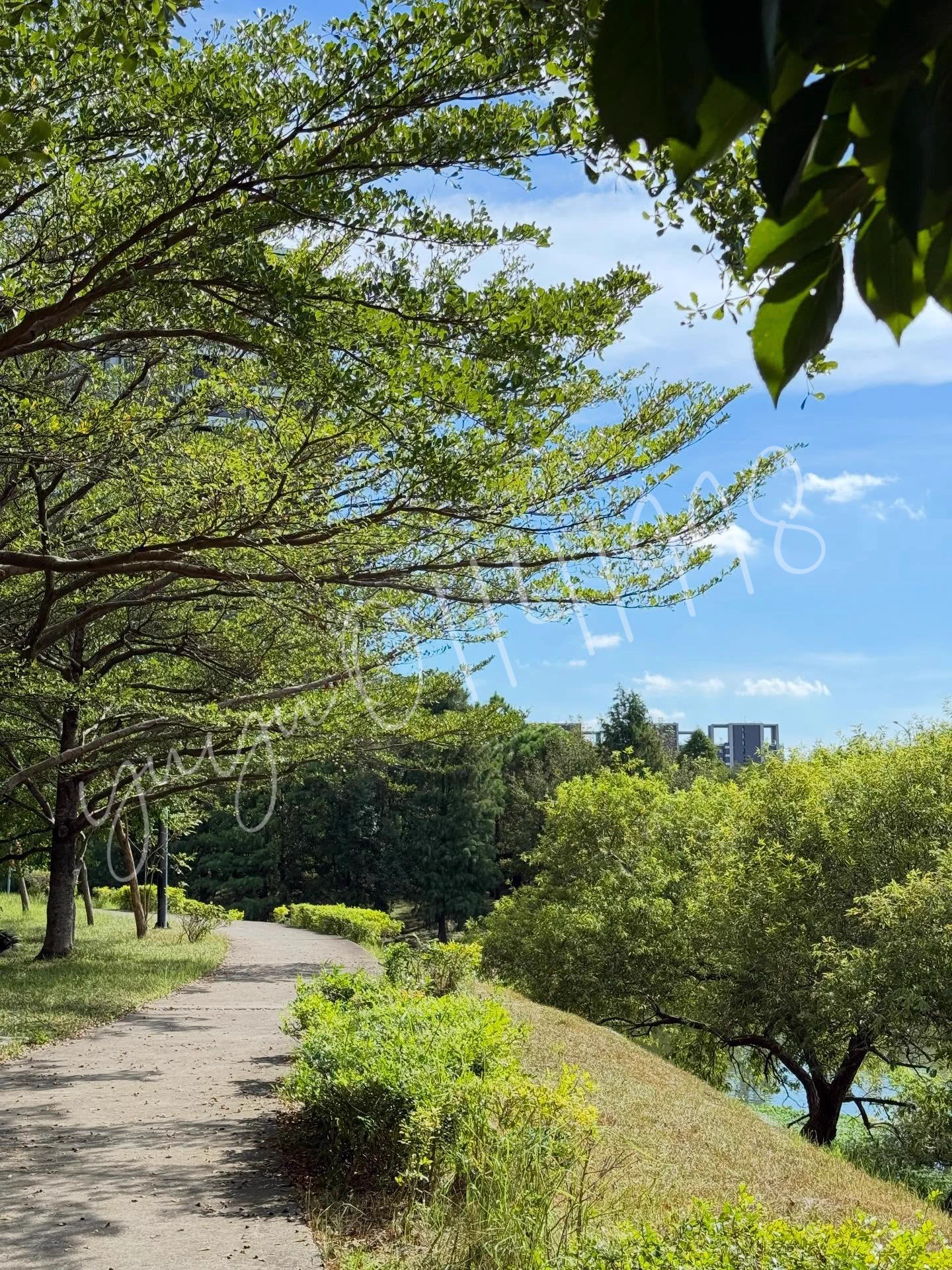 今天的天氣好好☺️
還有…
跟我一樣喜歡太陽的朋友嗎 https://t.co/dv45D9IXrj