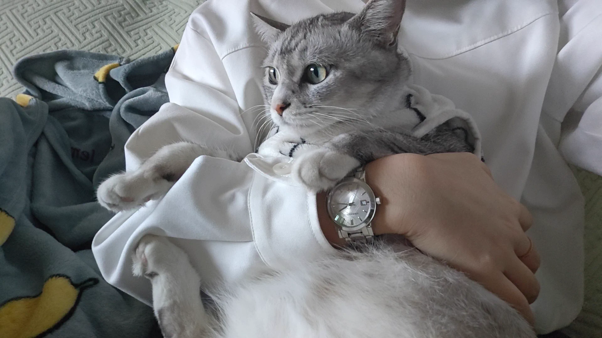 每天都想亲鼠它 https://t.co/B32vcSPkpn