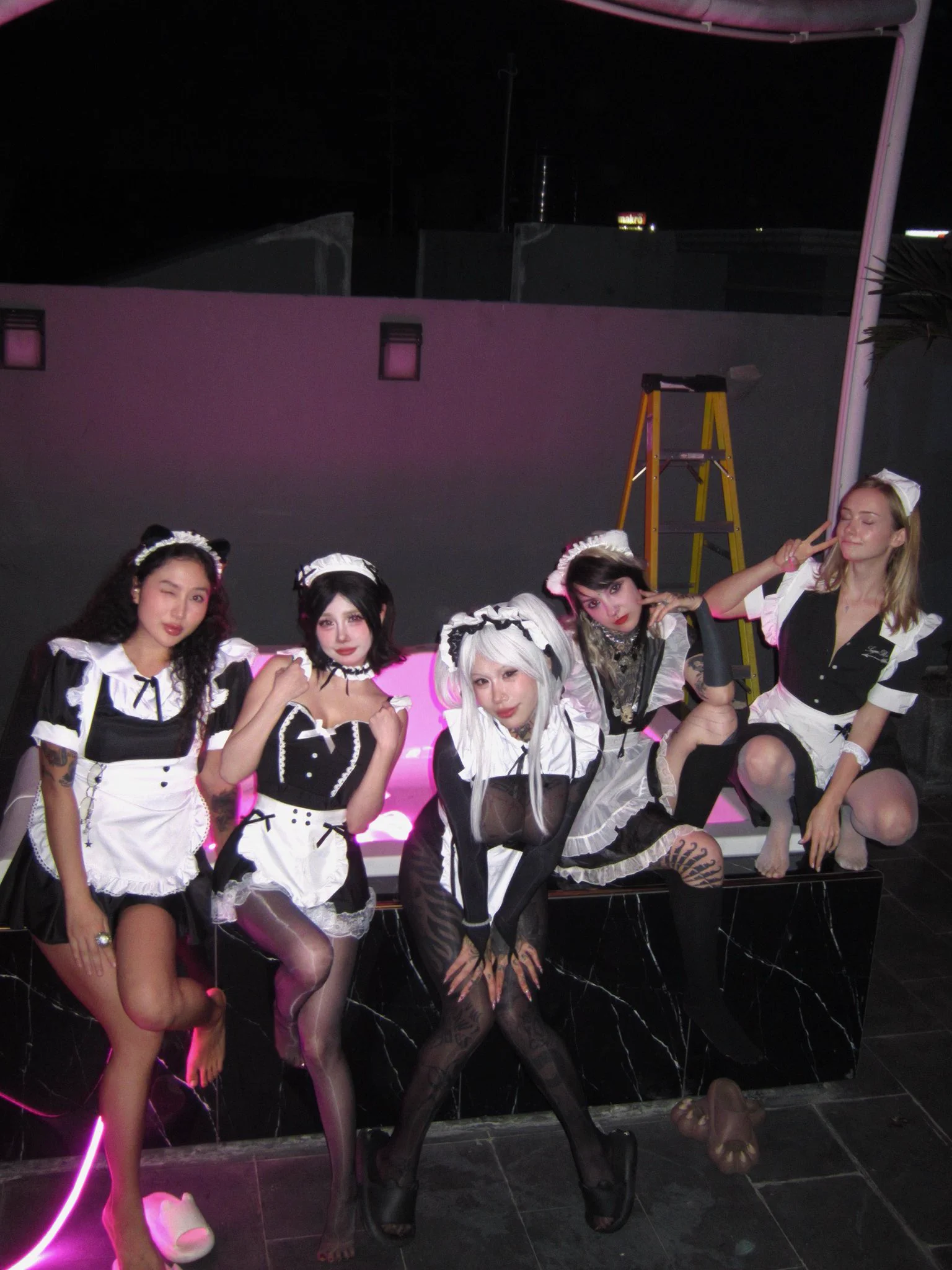 Mia🐱🎂 
@bigcat_mia https://t.co/n0n3ammVyf