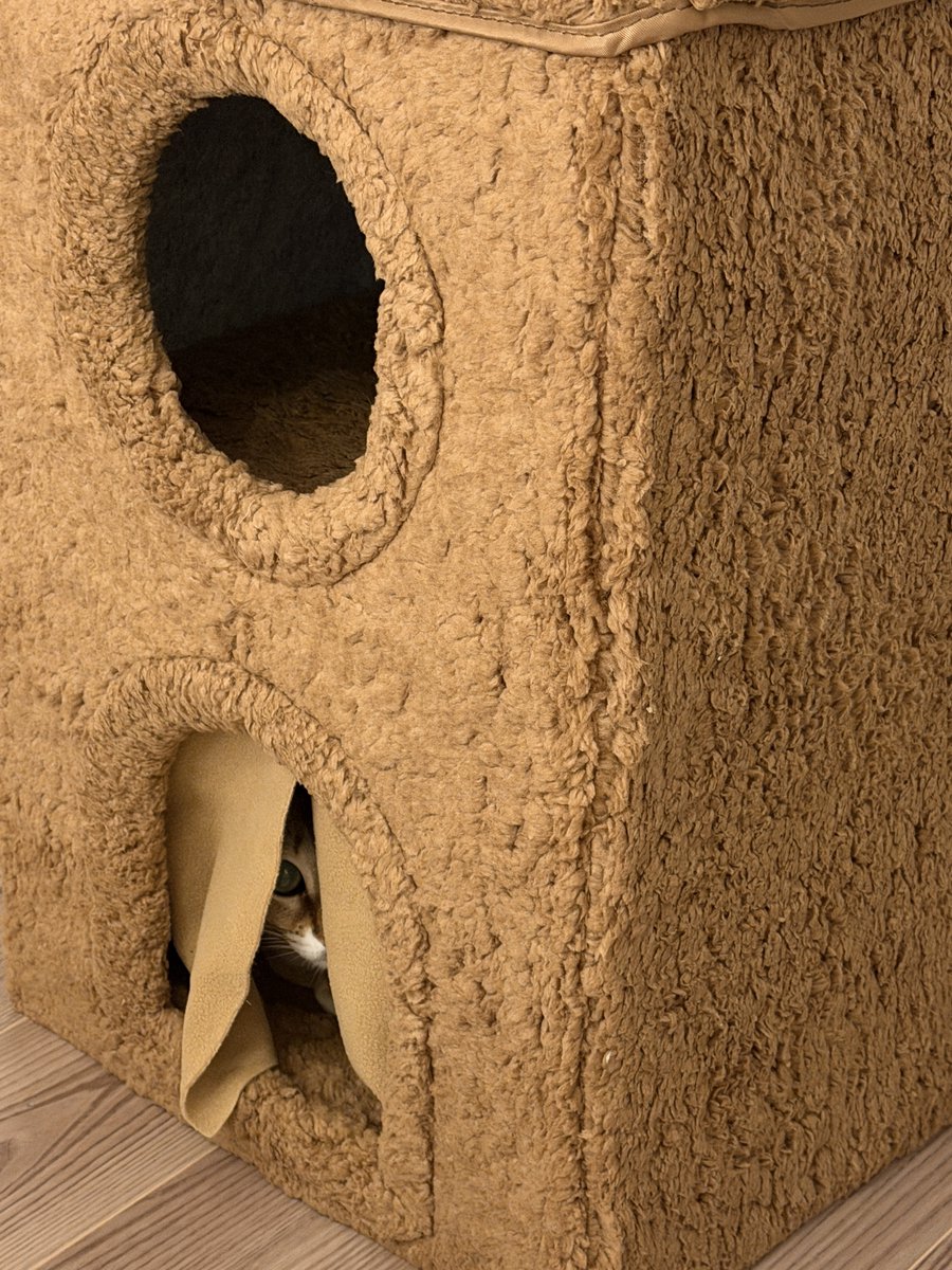 NEWハウス🏠🐱 https://t.co/cahvVehZqB