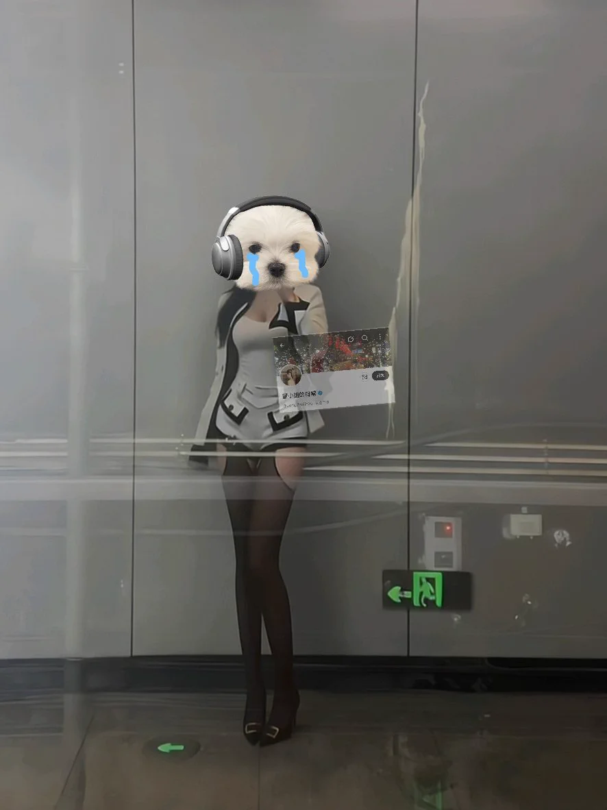 感冒就老实了 https://t.co/nlJmqVomfI