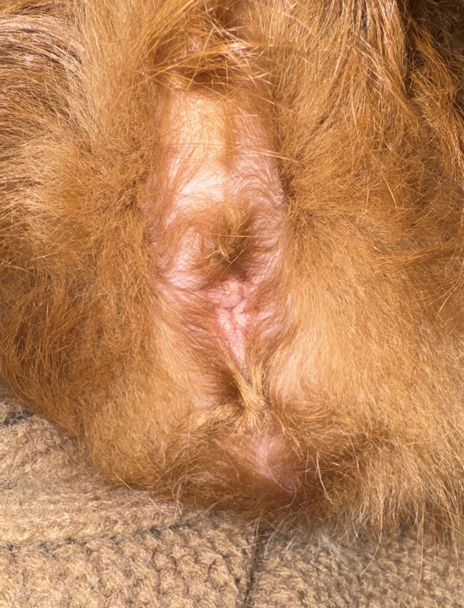 给你们看我儿子的屁眼 https://t.co/EDaeKu1cmp