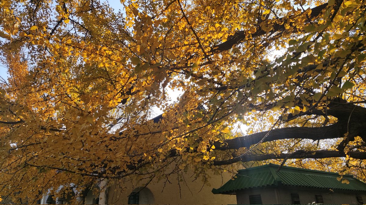 南京的人也好多啊，老婆还来姨妈了 估计没人面基了 https://t.co/Wld8x0D0BG