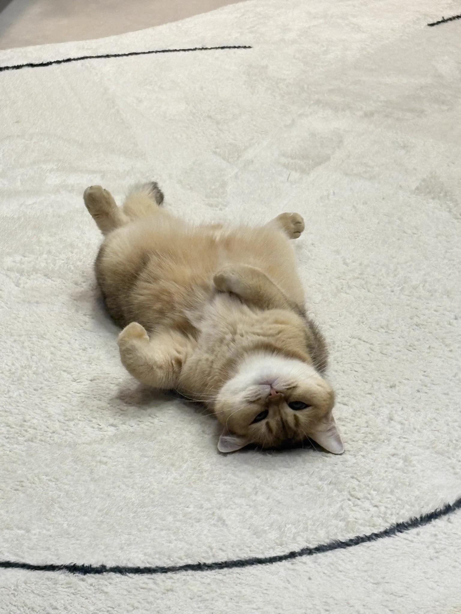 百大倒數23天！再按也就23次而已了！
一起堅持到最後❤️‍🔥❤️‍🔥❤️‍🔥
https://t.co/Gi2oIUIbb3 https://t.co/mPHO3dxDKT