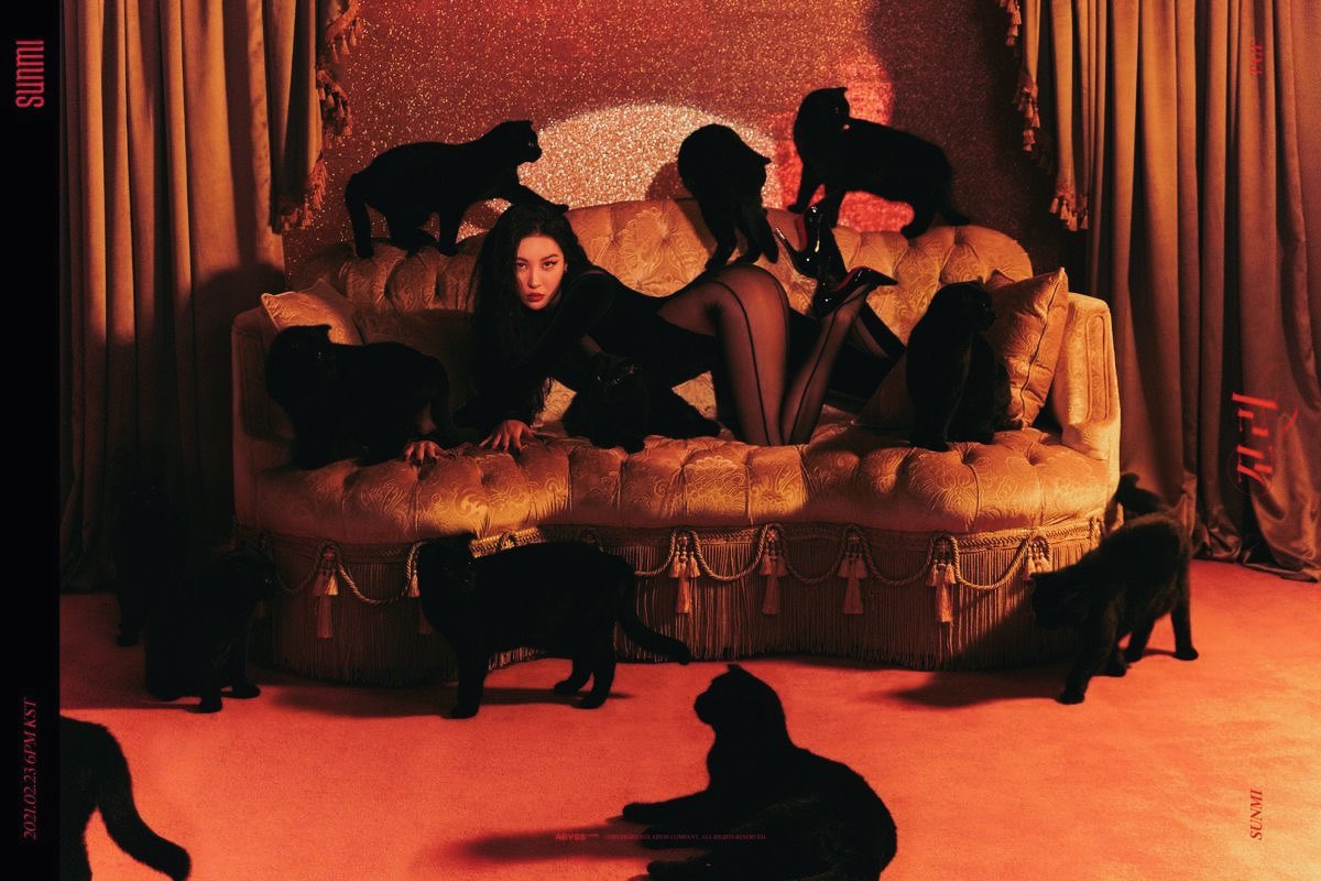🐈‍⬛🐈‍⬛🐈‍⬛ https://t.co/g1DgBudzcN