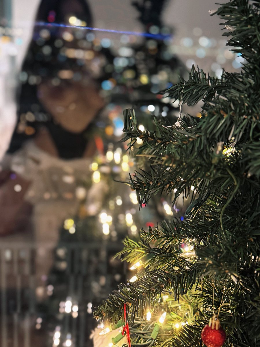 🎄 https://t.co/6Zd1zAthqm