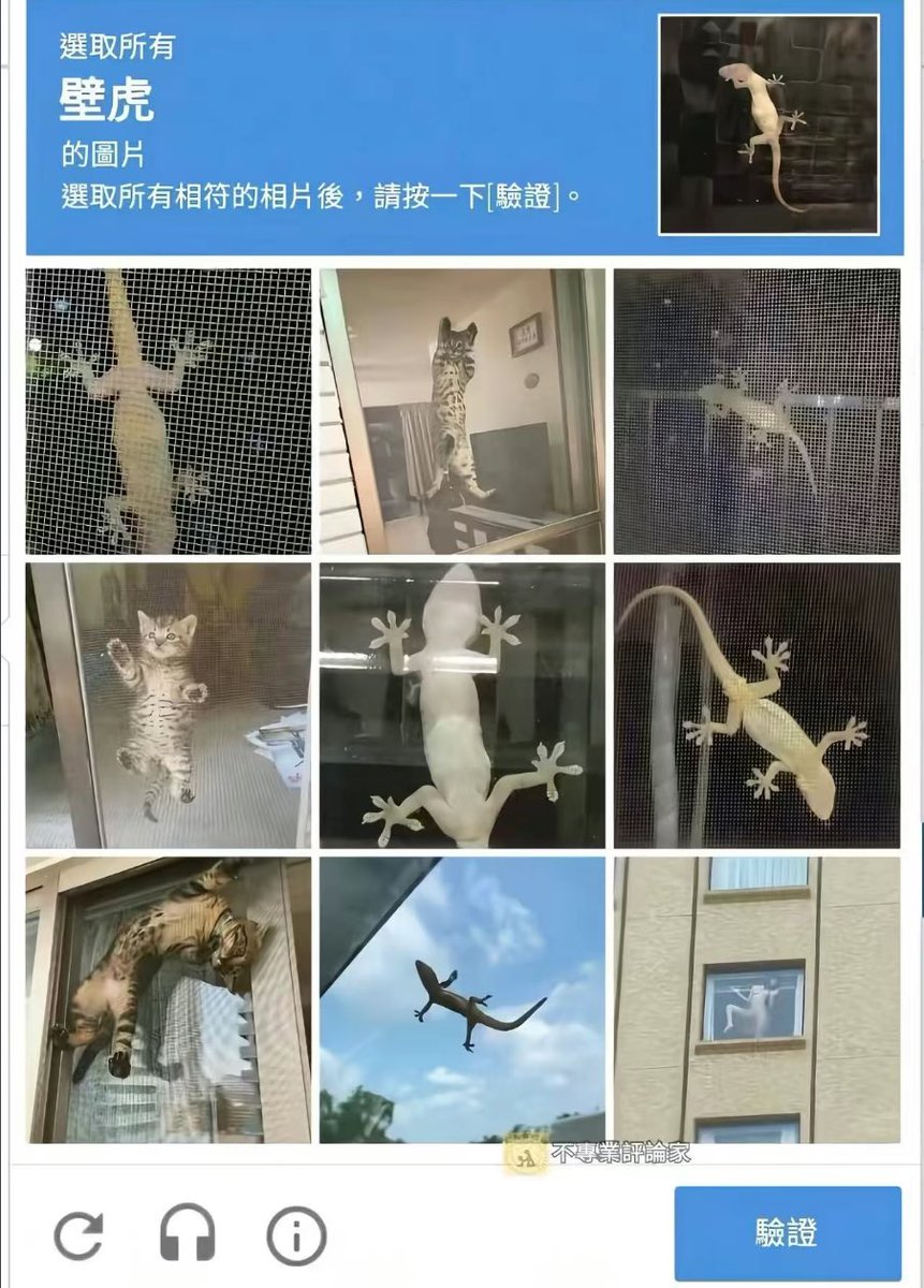 请你进行人机验证 https://t.co/ewuegQb71Q